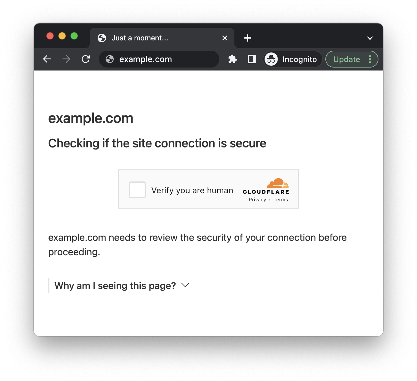 Cloudflare Challenge Page Screenshot